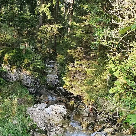 Mountain Pearl Daire *