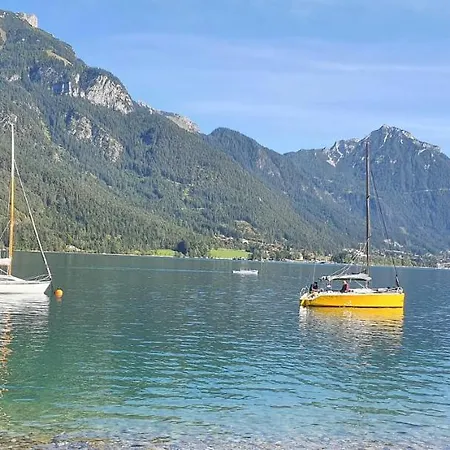 Mountain Pearl Daire